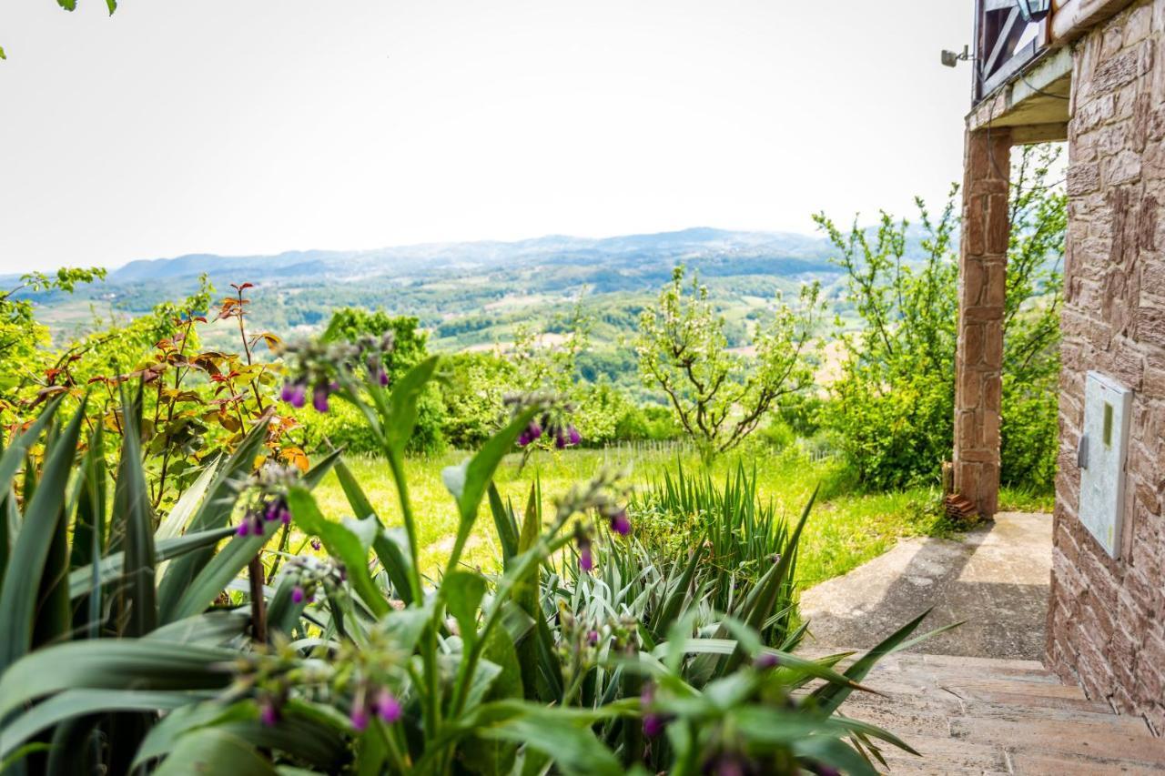 Kuca Za Odmor Zeleni Breg Villa Krapina Exteriör bild